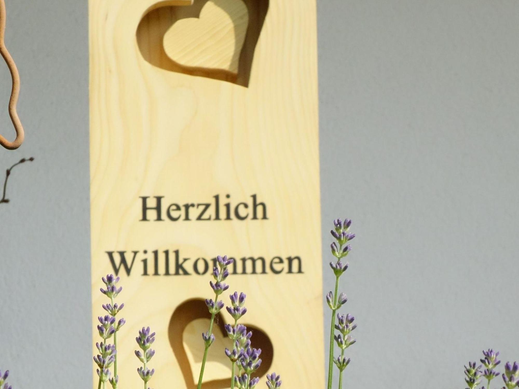 Ferienwohnungen Braun Seelbach  Luaran gambar